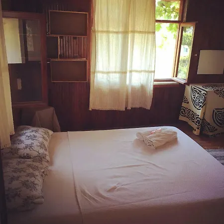 Pedro Mamma's ホームステイ